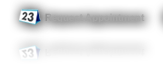 Request Appointment